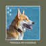 Dog Anxiety Relief