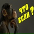 Обезьянник