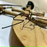 Seto Noviantoro