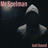 Mr Spelman