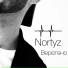 Nortyz