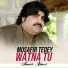 Ameer Niazi