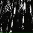 AKINATA