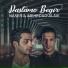 Naser Alavi, Mehrdad Alavi