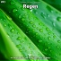 Larina Mergs, Rain Sounds, Nature Sounds