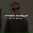 Aynadin Mariwani feat. Luqman Salim