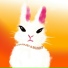 Shut up! Bunny