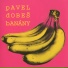 Pavel Dobes