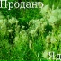 Продано feat. CI0NID, sn0wy 999