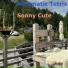 Sonny Cute