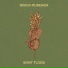 Saint Floew