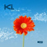 KI