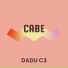 Dadu C3