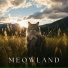 Calming Cat Music