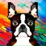 The Pixeldog, Very Important Punk