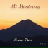 Msant Flow