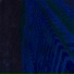 SXPR