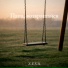 Z.E.V.S.