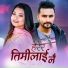 Krishna Kafle, Smita Dahal