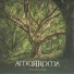 Amorroma