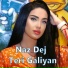 Naz Dej - Teri Galiyan (Cover Music Video)