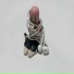 princeofscale