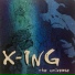 X-ING