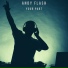 Andy Flash