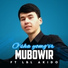 РоМа (ОкРаиНа) ft. offline