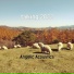 Angelic Acoustics