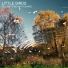 Little Birds