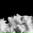 Daphne Guinness