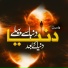 Qari Shadab Badar