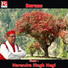 Narendra Singh Negi