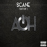 Scane feat. Ray J