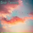 Birair Twoway