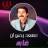 Mosaad Radwan