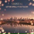 Aristal