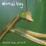 Animal Boy