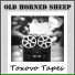 Old Horned Sheep