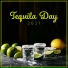 Cocktail Party Music Collection