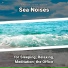 Sea Waves Sounds, Ocean Sounds, Nature Sounds