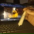 MoneyThePluggg