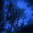 Lurt, .sadwave