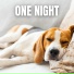 The Sleepy Sounds