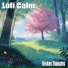 Lofi Calm