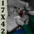 17x42