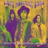Steve Wolfman Band