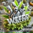 MIKESICKFLOW feat. K.Aglet, SHPOPPA, OG-ANIC