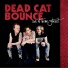 Dead Cat Bounce